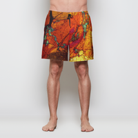 Swim Trunks: "The Red Rock"